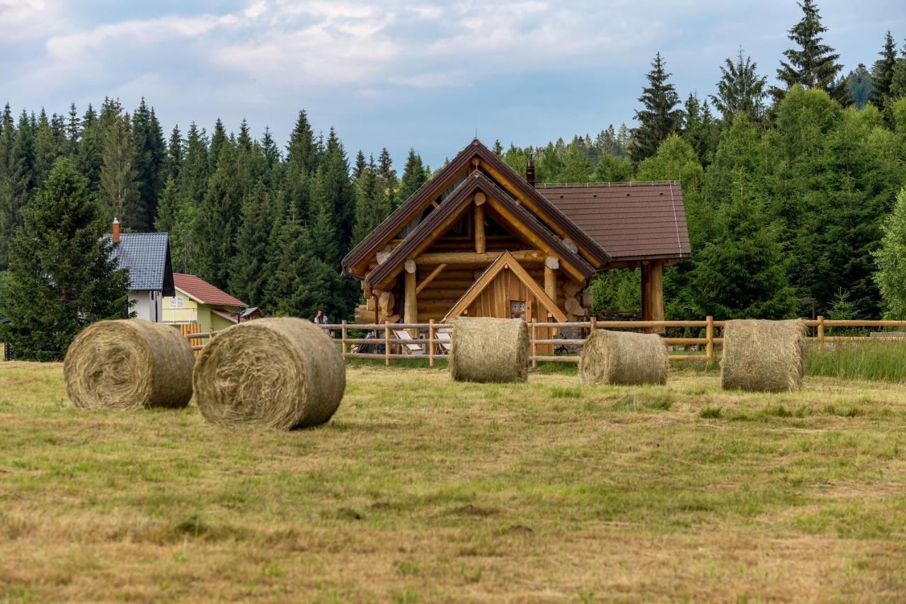 Kraljica Sume - Divjake Log Home Hlevci ภายนอก รูปภาพ