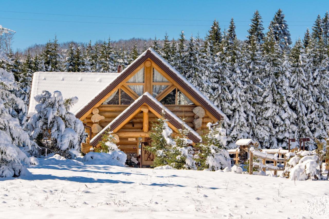 Kraljica Sume - Divjake Log Home Hlevci ภายนอก รูปภาพ